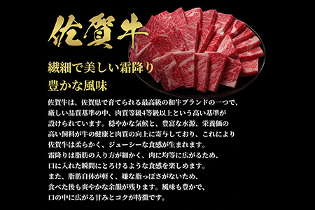 【和牛セレブ】佐賀牛 焼肉ロース 250g【肉 ブランド牛 和牛 牛肉 ふるさと納税】(H113104)