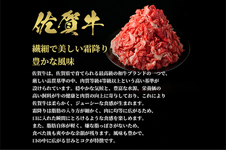 【和牛セレブ】佐賀牛 切り落とし 500g【肉 ブランド牛 和牛 牛肉 ふるさと納税】(H113117)