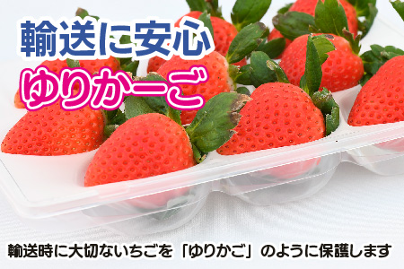 【R8年1月より発送 農家直送】さがほのか220g×4パック【いちご 苺 イチゴ 果物 フルーツ スイーツ デザート ふるさと納税】(H117102)