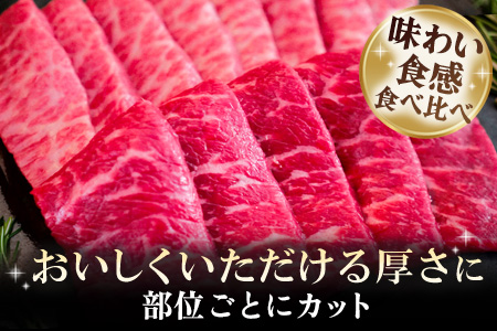 佐賀牛 希少部位焼肉セット150g×2パック計300g【佐賀牛 牧場直送 霜降り 赤身 小分け】(H122143)