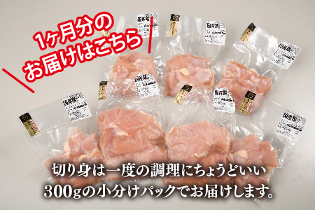 【3カ月定期便】ありたどり 胸肉 3.1kg×3回 計9.3kg【むね肉 低脂肪 ダイエット 筋トレ 人気 たんぱく質 ブロック 低温調理 サラダチキン 切り身 小分け 佐賀 ブランド鶏 安心 小包装】(H123113)