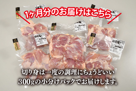 【3カ月定期便】ありたどり もも肉 1.8kg×3回 計5.4kg【鶏もも肉 ジューシー たんぱく質 ビタミンA ビタミンB2 ブロック 切り身 佐賀 ブランド鶏 やわらかい 小包装】(H123114)