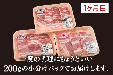 【3カ月定期便】肥前さくらポーク 焼肉・しゃぶしゃぶ・ブロック 計1.95kg【豚肉 やわらかい 甘み 小分け スライス ブロック ブランド肉 佐賀県 美味しい キメ細かい】(H123116)