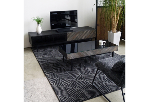 サッジ 170TVボード 【テレビボード テレビ台 テレビ インテリア 組立設置付 梱包材引き取り 国産 TV AV機器収納】(H062183)