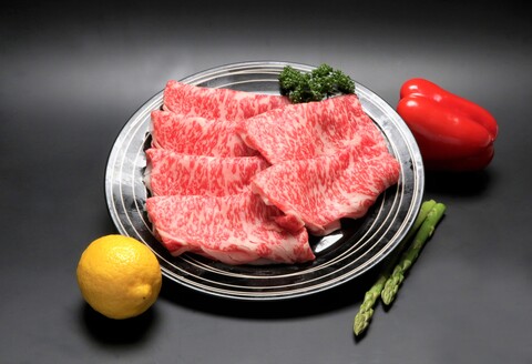 佐賀牛三昧贅沢食べ比べセット 【焼肉 肩ロース モモ ロース BBQ キャンプ 精肉】(H066107)