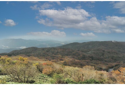 脊振ジビエ イノシシ肉(ロース肉 バラ肉)2品詰合せ800g 【佐賀 佐賀県産 猪 ロース バラ 焼肉 しゃぶしゃぶ 鍋物】(H072185)