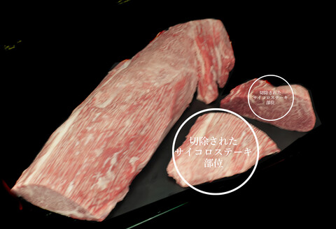 【訳あり】佐賀牛ヒレ・不揃いサイコロステーキ 600g 【訳あり 牛肉 牛 佐賀牛 不揃い ヒレ 切り落とし 600g】(H065121)