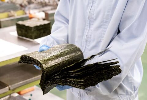 初摘み海苔 K-23【のり パリッと 有明海産 旨味 塩味 味付 焼き 極上 絶品 無添加 ミネラル 天然塩】(H029119)