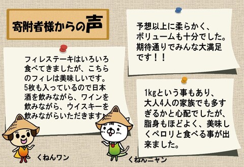 佐賀牛ヒレステーキ200g×5枚【ステーキ ヒレ 冷凍 A4 A5 赤身 牛肉 希少部位 ブランド牛 送料無料 人気 ランキング 佐賀県産 黒毛和牛】(H065102)
