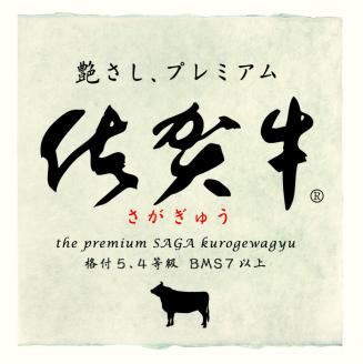 佐賀牛焼肉セット 1.6kg 【牛肉 牛 焼肉 ステーキ ロース BBQ キャンプ 精肉】(H066114)