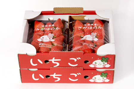 【先行受付 令和8年1月より発送開始】香月さんちのいちご(さがほのか)280g×4パック【いちご イチゴ 苺 さがほのか 大玉 大粒フルーツ 果物  数量限定 香月農園 佐賀県産】(H017116)