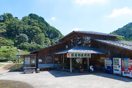 脊振ジビエ イノシシ肉スライスセット ロース＆バラ 約600g 【脊振 ジビエ イノシシ肉 ロース バラ】(H044123)