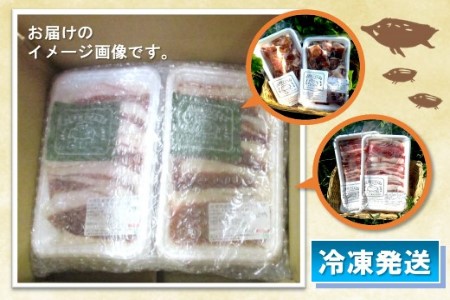 脊振ジビエ イノシシ肉バラエティセット 約1.4kg 【脊振 ロース ばら 肩ロース ミンチ カレー 鍋 セット】(H059118)