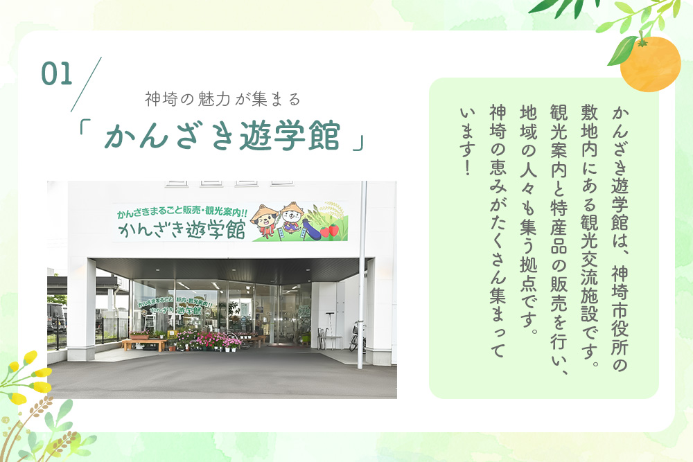 せふり柚子胡椒味くらべ2本セット 【せふり 柚子胡椒 味比べ セット】(H059122)