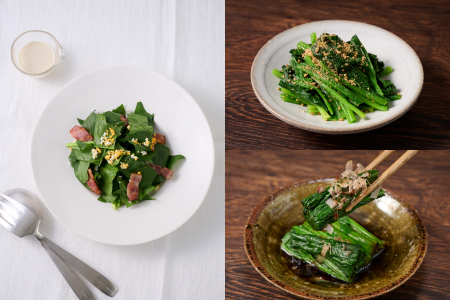 ほうれん草 3kg バラ詰め（大きな袋に3kg）【ハウス栽培 産地直送 クール便 佐賀県脊振山麓産】(H091118)