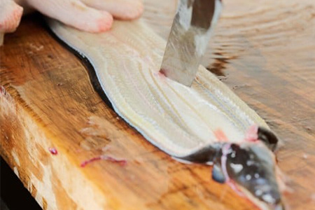 【職人手焼き】国産特大うなぎ白焼2尾（1尾あたり約170g前後）【国産 うなぎ 鰻 ウナギ 極上 白焼き 香ばしい 旨味 スタミナ 抹茶塩 山椒】(H097110)