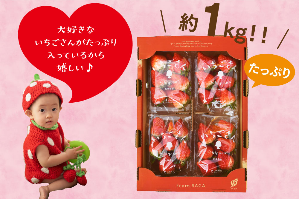 【先行受付 令和8年1月下旬より発送開始】期間限定 特選いちご(いちごさん) 250g×4パック【苺 イチゴ ブランドいちご 朝採れ デザート スイーツ フルーツ 誕生日ケーキ バレンタイン】(H101107)