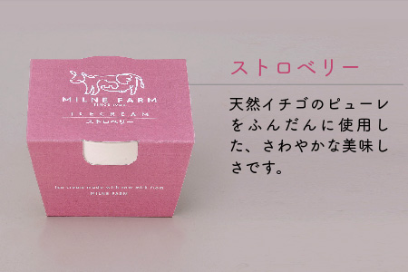 佐賀脊振高原ミルン牧場のアイスクリーム24個セット【手作り 濃厚 生乳 ミルク バニラ 抹茶 チョコ ストロベリー ラムレーズン】(H102123)