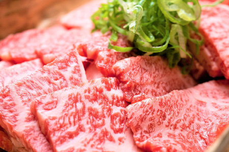 艶さし！【A4～A5】佐賀牛焼肉用 500g【肉 牛肉 ブランド牛 黒毛和牛 ふるさと納税】(H112111)