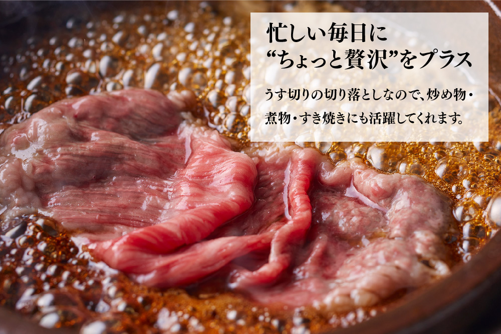 艶さし!【A4～A5】佐賀牛大判霜降り贅沢切り落とし 500g(250g×2P)【佐賀牛 切り落とし 霜降り 肩ロース 大判 一枚肉 薄切り 250g 小分け】(H112340)