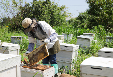国産はちみつ(神埼産)百花蜜 450g×2 【贈り物 黄金色 自家製 疲労回復 美容 栄養 花の蜜 純粋 九州産】(H050116)