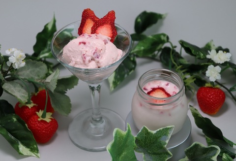 いちごフロマージュ6個セット 【佐賀県産 クリームチーズ 生クリーム ドライいちご 贅沢】(H017105)