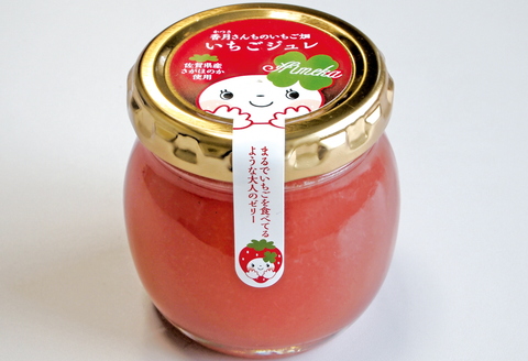 ひめかちゃんのキューブセット 【いちご イチゴ 苺 さがほのか ドライフルーツ 佐賀県産 プチギフト 凍らせてシャーベット】(H017114)