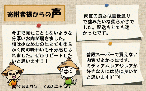 佐賀牛ヒレシャトーブリアン200g×5枚【ステーキ ヒレ 冷凍 A4 A5 赤身 牛肉 希少部位 ブランド牛 送料無料 人気 ランキング 佐賀県産 黒毛和牛】(H065119)