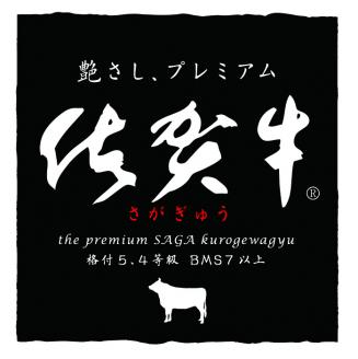 佐賀牛焼肉セット 1.6kg 【牛肉 牛 焼肉 ステーキ ロース BBQ キャンプ 精肉】(H066114)