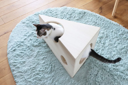 TRM021 たべられないチーズ ビッグ(H060432)