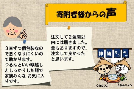 佐賀県特産品 神埼そうめん 10入 【そうめん 乾麺 神埼そうめん 特産品  御中元 夏 自家用】(H014144)