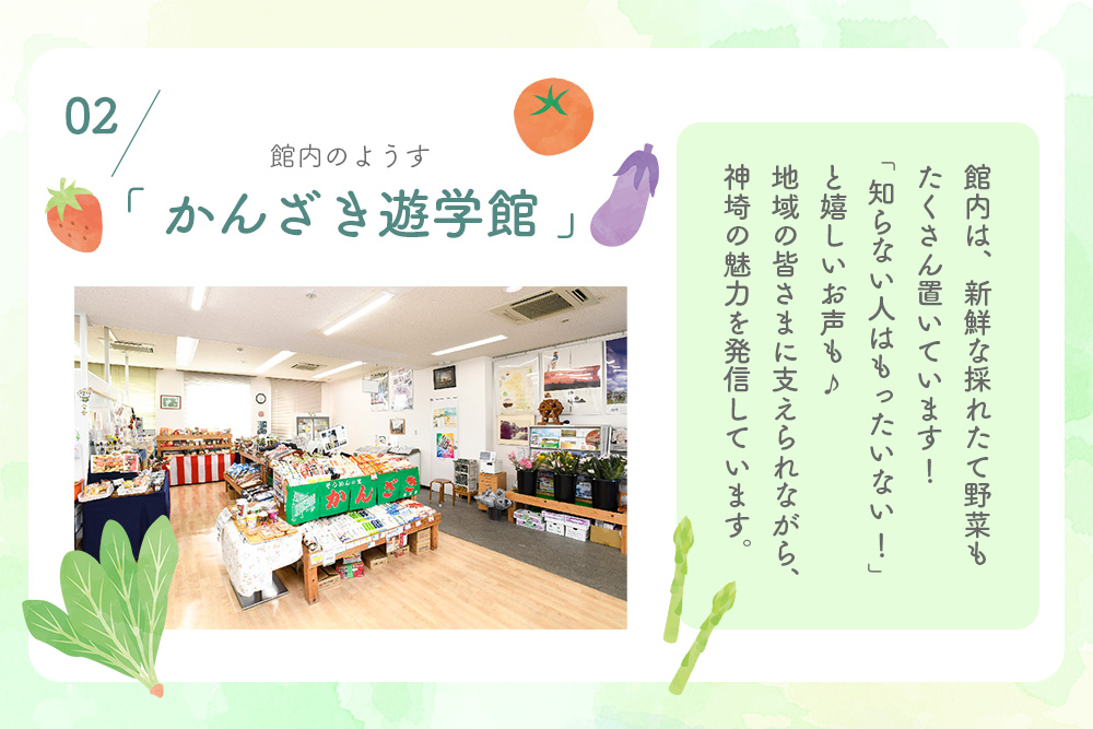 脊振ジビエ 詰め合わせ イノシシ肉約600g＆柚子胡椒2本セット 【ジビエ イノシシ肉 ロース バラ カレー 鍋 詰め合わせ】(H059121)