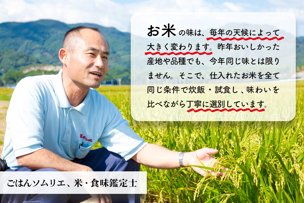 【令和7年産 新米】ごはんソムリエが厳選 無洗米 さがびより 5kg【神埼市産 米 お米 無洗米 精米 白米 5kg さがびより ブランド米 食味鑑定士】(H063146)