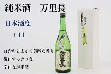 TheSAGA認定酒 純米酒おまかせ 1本【佐賀県産 佐賀認定酒 店主 こだわり ギフト 贈答 プレゼント】(H072191)