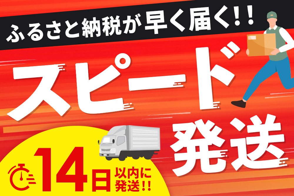 【14日以内発送！期間限定】佐賀牛入り ハンバーグ 22個 2.6kg(120g×22個)【佐賀牛 黒毛和牛 ブランド牛 九州 ハンバーグ 牛肉 豚肉 国産 お弁当 おかず 惣菜 おすすめ 人気】(H083105)