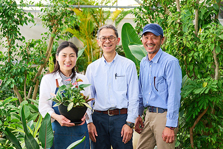 オリジナルアレンジ観葉植物　Sサイズ【寄せ植え インテリア リビング 室内 グリーン 植物 癒し リフレッシュ】 (H086104)