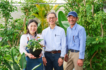 オリジナルアレンジ観葉植物　Mサイズ【寄せ植え インテリア リビング 室内 グリーン 植物 癒し リフレッシュ】 (H086105)