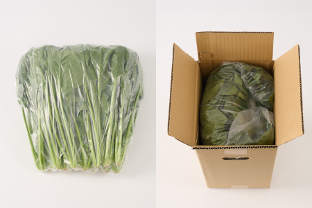 ほうれん草 1kg バラ詰め（大きな袋に1kg）【ハウス栽培 産地直送 クール便 佐賀県脊振山麓産】(H091116)