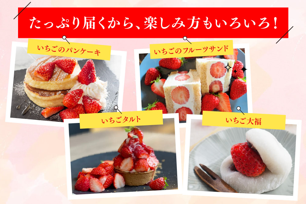 【先行受付 令和8年1月下旬より発送開始】期間限定 特選いちご(いちごさん) 250g×4パック【苺 イチゴ ブランドいちご 朝採れ デザート スイーツ フルーツ 誕生日ケーキ バレンタイン】(H101107)