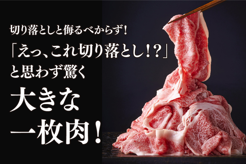 艶さし！【A4～A5】佐賀牛大判霜降り贅沢切り落とし 250g【佐賀牛 切り落とし 霜降り 肩ロース 大判 一枚肉 薄切り 250g 小分け】(H112339)