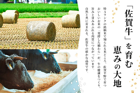 佐賀牛 希少部位焼肉用150g×8パック計1200g サイコロステーキ150g×8パック計1200g【佐賀牛 焼肉スライス サイコロステーキ 牧場直送 ブランド牛 赤身肉 霜降り 小分け】(H122116)