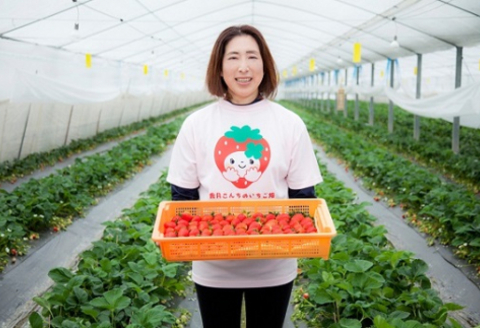 いちごジュレ6個セット 【佐賀県産 夏におすすめ シャーベット ひんやりスイーツ】(H017110)