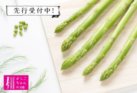 【先行受付 令和8年3月より発送】朝採りアスパラ定期便1kg×4回 【アスパラ アスパラガス グリーンアスパラガス モデル バーベキュー BBQ こだわり 採れたて 野菜 】(H013108)