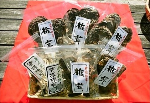 せふり特選椎茸セット＜極み＞ 【せふり 干ししいたけ 原木】(H044102)