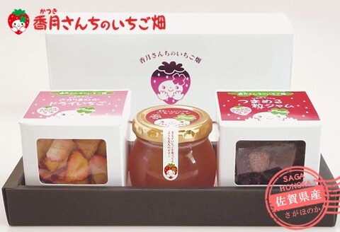 ひめかちゃんのキューブセット 【いちご イチゴ 苺 さがほのか ドライフルーツ 佐賀県産 プチギフト 凍らせてシャーベット】(H017114)