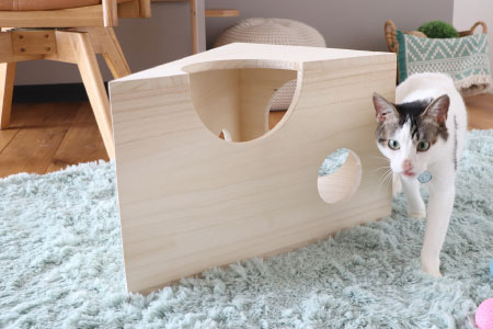 TRM021 たべられないチーズ ビッグ(H060432)