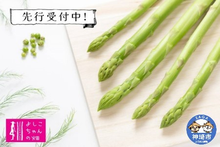【先行受付 令和8年3月より発送】春芽のアスパラ 1.2kg 【アスパラ アスパラガス グリーンアスパラガス モデル バーベキュー BBQ こだわり 採れたて 野菜 】(H013106)