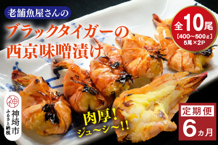 【6カ月定期便】ブラックタイガーの西京味噌漬け 5尾×2パック×6回【海老 味噌漬け 焼くだけ 簡単調理 エビ料理 おつまみ おかず バーベキュー お弁当】(H032143)