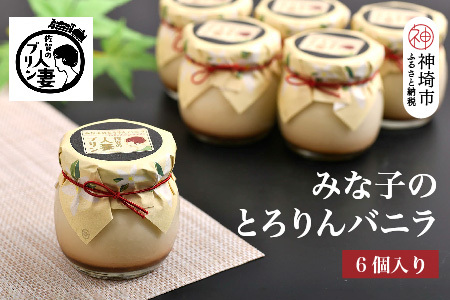 佐賀の人妻プリン【子供に食べさせたいプリン】みな子のとろりんバニラ6個詰合せ【プリン デザート おやつ お土産 手土産 ふるさと納税】(H034112)