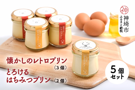 【えこびと】懐かしのレトロプリン・とろけるはちみつプリン5個セット【スイーツ プリン プリン県佐賀 プリンマップ】(H037138)